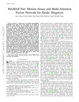 MAMAF-Net: Motion-Aware and Multi-Attention Fusion Network for Stroke
  Diagnosis