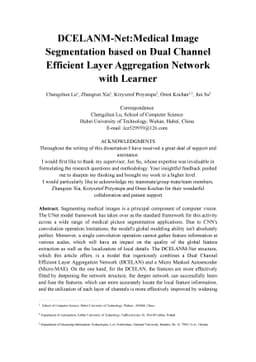 DCELANM-Net:Medical Image Segmentation based on Dual Channel Efficient
  Layer Aggregation Network with Learner