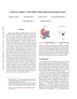 Contrastive Tuning: A Little Help to Make Masked Autoencoders Forget