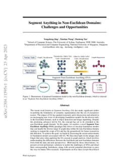 Segment Anything in Non-Euclidean Domains: Challenges and Opportunities