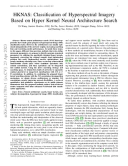 HKNAS: Classification of Hyperspectral Imagery Based on Hyper Kernel
  Neural Architecture Search