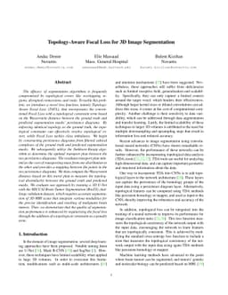 Topology-Aware Focal Loss for 3D Image Segmentation