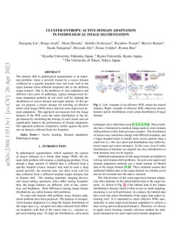 Cluster Entropy: Active Domain Adaptation in Pathological Image
  Segmentation