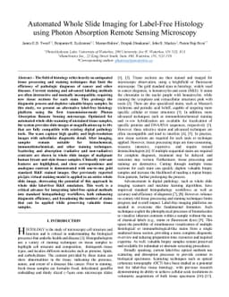 Automated Whole Slide Imaging for Label-Free Histology using Photon
  Absorption Remote Sensing Microscopy