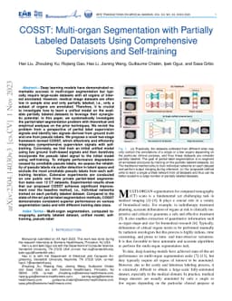 COSST: Multi-organ Segmentation with Partially Labeled Datasets Using
  Comprehensive Supervisions and Self-training