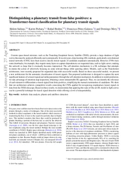 Distinguishing a planetary transit from false positives: a
  Transformer-based classification for planetary transit signals