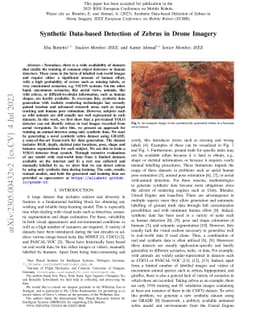 Synthetic Data-based Detection of Zebras in Drone Imagery