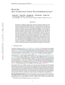 What Do Self-Supervised Vision Transformers Learn?