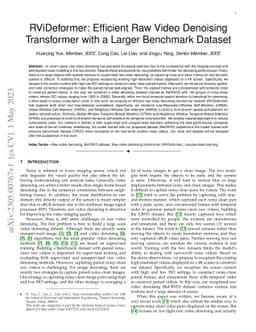RViDeformer: Efficient Raw Video Denoising Transformer with a Larger Benchmark Dataset