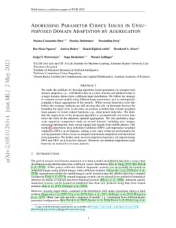 Addressing Parameter Choice Issues in Unsupervised Domain Adaptation by
  Aggregation
