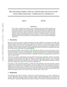 Bio-Inspired Simple Neural Network for Low-Light Image Restoration: A
  Minimalist Approach