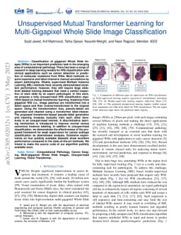 Unsupervised Mutual Transformer Learning for Multi-Gigapixel Whole Slide
  Image Classification