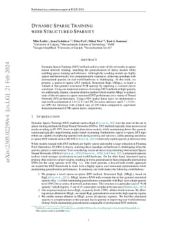 Dynamic Sparse Training with Structured Sparsity