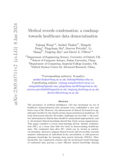 Medical records condensation: a roadmap towards healthcare data
  democratisation