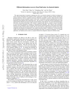 Efficient information recovery from Pauli noise via classical shadow