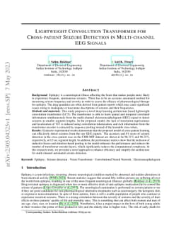 Lightweight Convolution Transformer for Cross-patient Seizure Detection
  in Multi-channel EEG Signals