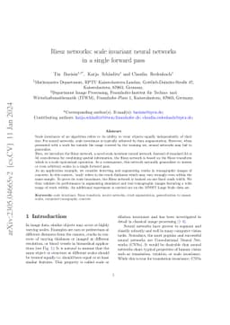 Riesz networks: scale invariant neural networks in a single forward pass