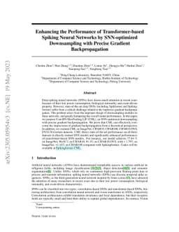 Enhancing the Performance of Transformer-based Spiking Neural Networks
  by SNN-optimized Downsampling with Precise Gradient Backpropagation
