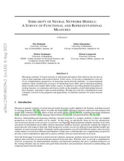 Similarity of Neural Network Models: A Survey of Functional and Representational Measures