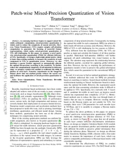Patch-wise Mixed-Precision Quantization of Vision Transformer