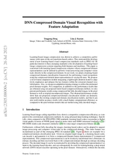 DNN-Compressed Domain Visual Recognition with Feature Adaptation