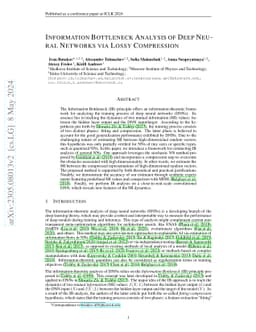 Information Bottleneck Analysis of Deep Neural Networks via Lossy
  Compression