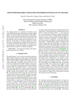 Semi-Supervised Object Detection for Sorghum Panicles in UAV Imagery