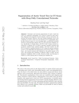 Segmentation of Aortic Vessel Tree in CT Scans with Deep Fully
  Convolutional Networks
