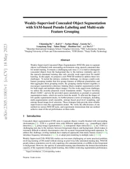 Weakly-Supervised Concealed Object Segmentation with SAM-based Pseudo
  Labeling and Multi-scale Feature Grouping