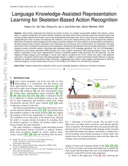 Language Knowledge-Assisted Representation Learning for Skeleton-Based
  Action Recognition