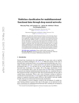 Multiclass classification for multidimensional functional data through
  deep neural networks