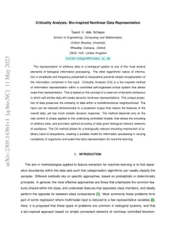 Criticality Analysis: Bio-inspired Nonlinear Data Representation