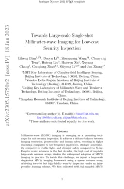 Towards Large-scale Single-shot Millimeter-wave Imaging for Low-cost
  Security Inspection
