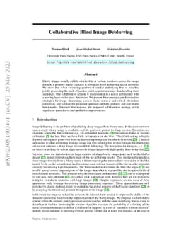 Collaborative Blind Image Deblurring