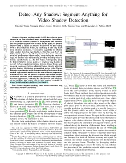 Detect Any Shadow: Segment Anything for Video Shadow Detection