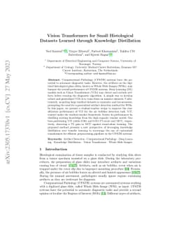 Vision Transformers for Small Histological Datasets Learned through
  Knowledge Distillation