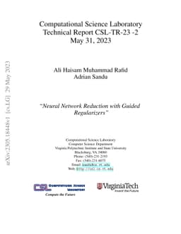 Neural Network Reduction with Guided Regularizers