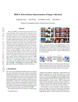 BRICS: Bi-level feature Representation of Image CollectionS