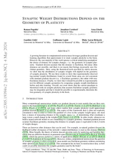 Synaptic Weight Distributions Depend on the Geometry of Plasticity
