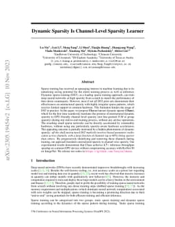Dynamic Sparsity Is Channel-Level Sparsity Learner
