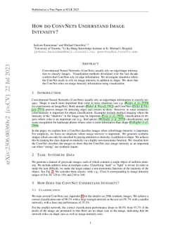 How Do ConvNets Understand Image Intensity?