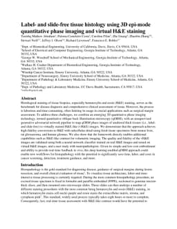 Label- and slide-free tissue histology using 3D epi-mode quantitative
  phase imaging and virtual H&E staining