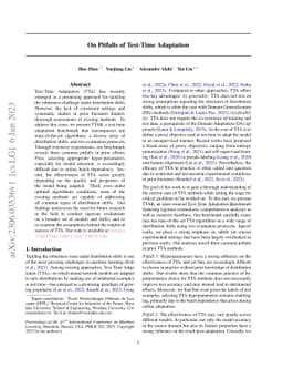 On Pitfalls of Test-Time Adaptation