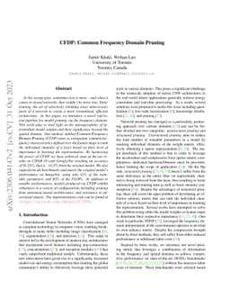 CFDP: Common Frequency Domain Pruning