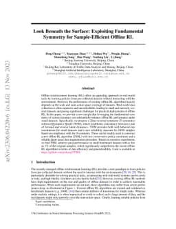 Look Beneath the Surface: Exploiting Fundamental Symmetry for
  Sample-Efficient Offline RL