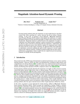 Magnitude Attention-based Dynamic Pruning