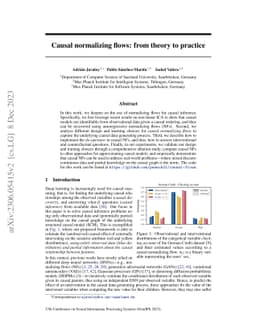 Causal normalizing flows: from theory to practice