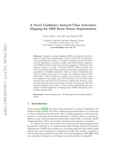A Novel Confidence Induced Class Activation Mapping for MRI Brain Tumor
  Segmentation