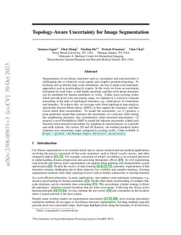Topology-Aware Uncertainty for Image Segmentation