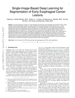Single-Image-Based Deep Learning for Segmentation of Early Esophageal
  Cancer Lesions